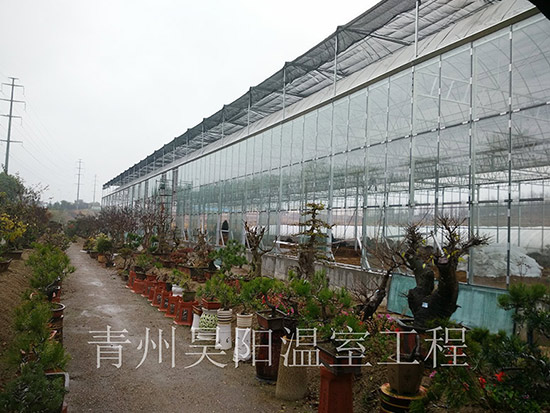 煙臺玻璃溫室